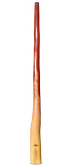 Tristan O'Meara Didgeridoo (TM384)